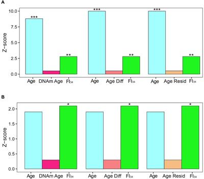 Examination of the Dimensions of Biological Age